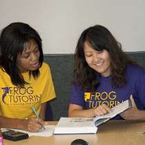 Frog Tutoring